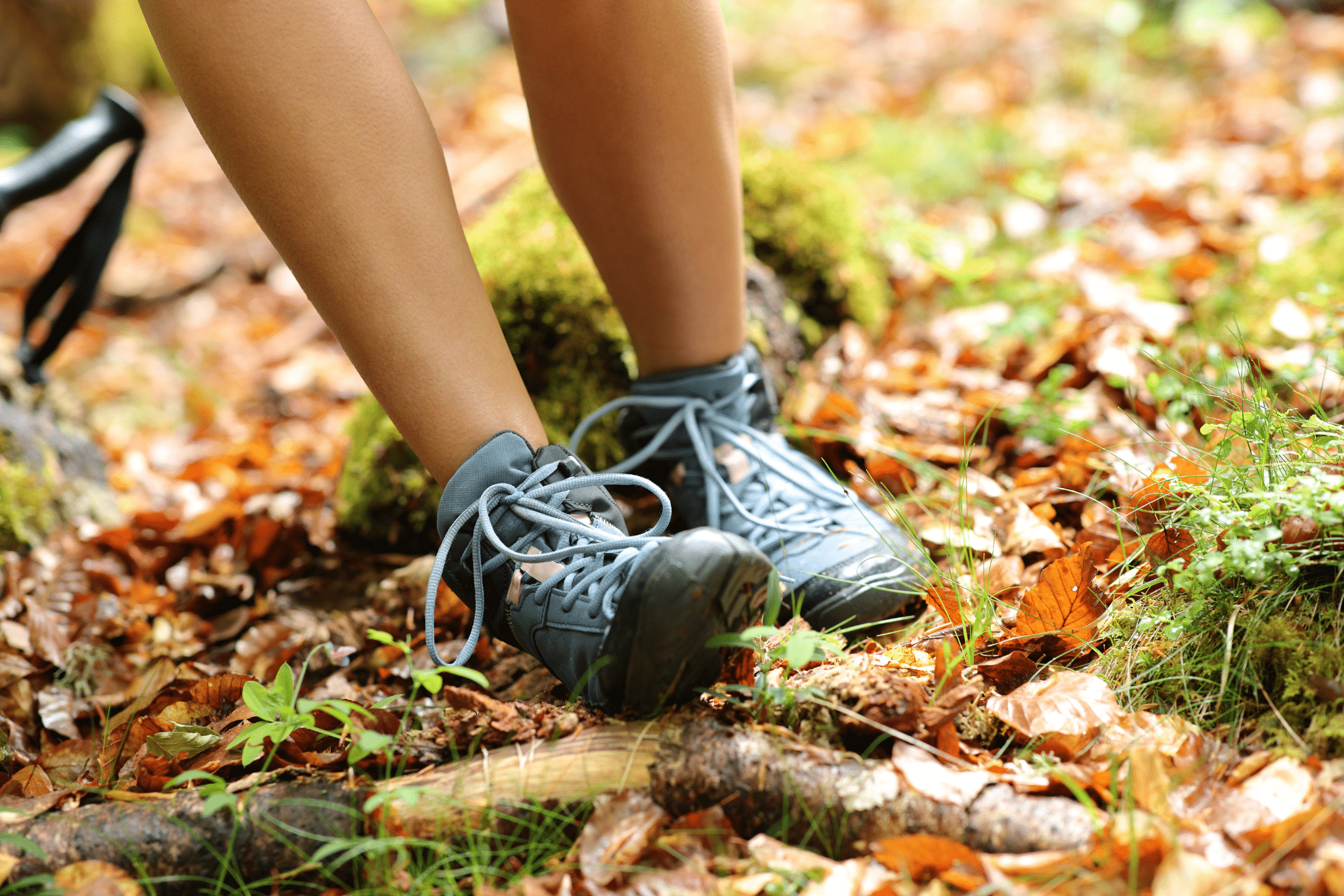 Trekker stumbling suffering sprain on ankle in a forest